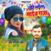 About Chhote Laila Saize Raja Song